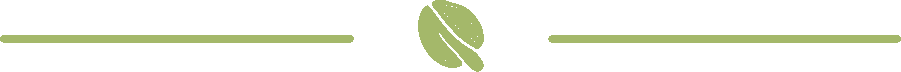 Divider Image