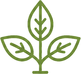 Leaf Icon